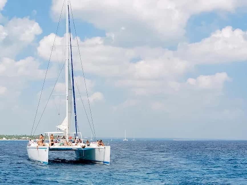 Naples: Catamaran Cruises with Wildlife Views - Itinerary Breakdown: What You’ll See and Do