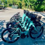Naples, FL: Group Sightseeing Guided Bike Tour - An Intimate Way to Experience Naples