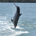 Naples, FL: Manatee, Dolphin, 10,000 Islands Sunset Cruise - Frequently Asked Questions