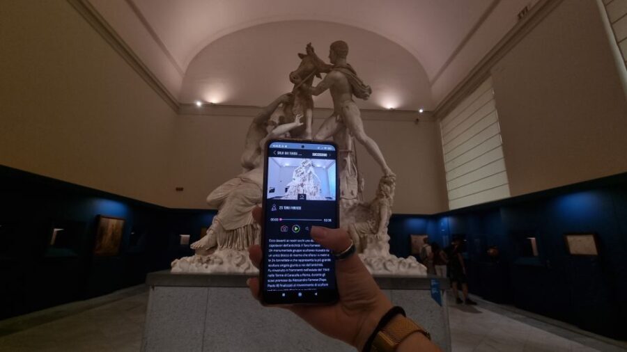 Naples: National Archaeological Museum audio guide - Value and Practical Tips