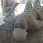 Naples & Pompeii from Rome by Fast Train - Small Group - Price and Value: Is It Worth It?