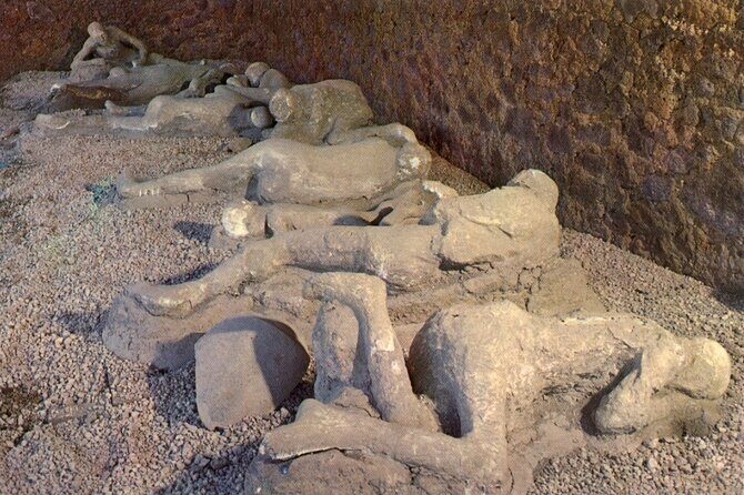 Naples Shore Excursion: Pompeii Independent Half-Day Trip - A Practical Look at the Pompeii Independent Half-Day Trip