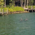 Naples: Sunset Boat Tour with Snacks and Drinks - Why This Tour Is a Great Choice for Travelers