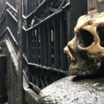Naples The City of Legends History and Forbidden Cults - Why This Tour Is Worth It