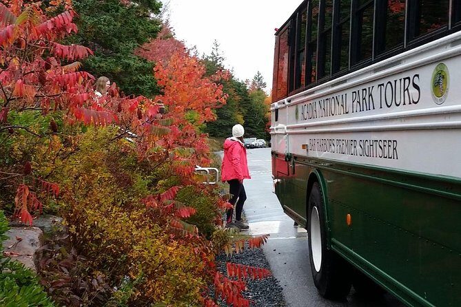 Narrated Bus Tour of Bar Harbor and Acadia National Park - Exploring the Details of the Tour