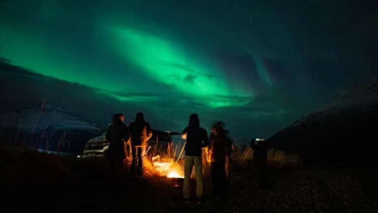 Narvik: Guided Northern Lights Tour with Photography Tips - Comfort and Practical Details