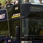 Nashville: Double-Decker City Tour - Who Will Love This Tour?