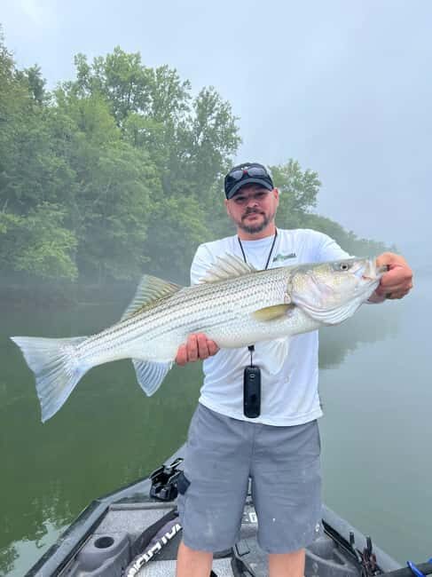 Nashville: Hybrid and Striped Bass Fishing Trip - Who Is This Tour Best For?