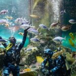 National Aquarium of New Zealand in Napier General Admission - Final Thoughts