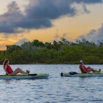 National Park Pedal Kayak Tours in New Smyrna Beach - Why Choose This Tour?