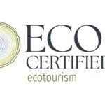 Natural Bridge Glow Worm Night Tour from Gold Coast - Who Should Consider This Tour?