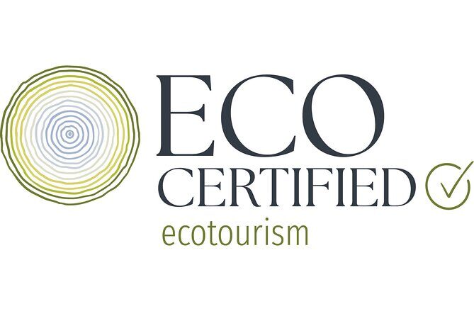 Natural Bridge Glow Worm Night Tour from Gold Coast - Who Should Consider This Tour?