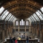 Natural History Museum e Kensington Garden - Why This Tour Works Well