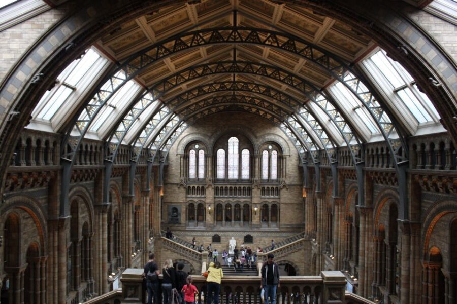 Natural History Museum e Kensington Garden - Why This Tour Works Well