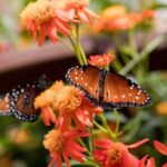 Natural History Museum of Los Angeles County Admission - A Balanced View: The Pros and Cons