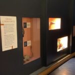 Natural History Museum Self-guided Tour for Kids in English - A Detailed Breakdown of the Itinerary