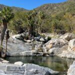 Natural Hot Springs Experience - FAQ: Your Questions About the Hot Springs Tour Answered