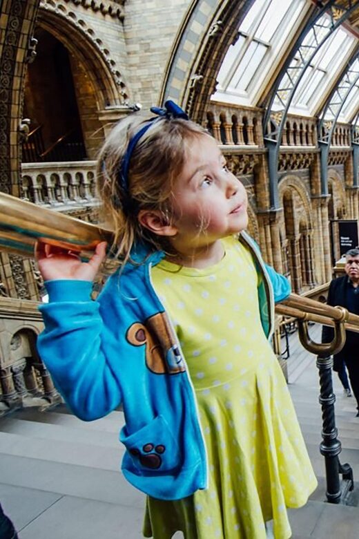 Natural Museum Adventure: Gems, Volcanoes, Dinosaurs - Exploring the Natural History Museum: An In-Depth Look
