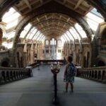Natural Museum: Diplodocus to Blue Whale Wonders - A Closer Look at the Experience