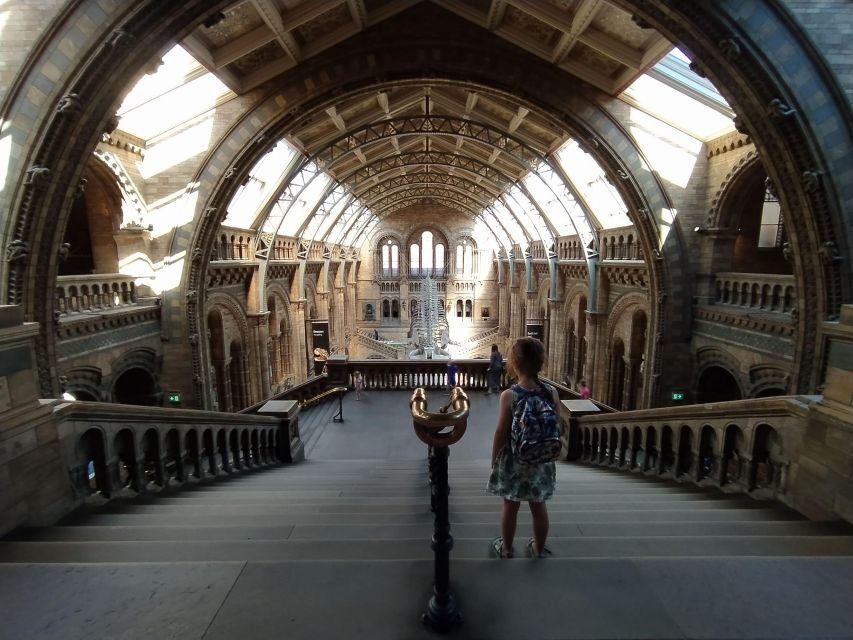 Natural Museum: Diplodocus to Blue Whale Wonders - A Closer Look at the Experience