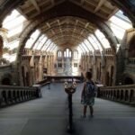 Natural Museum: Diplodocus, Volcanoes, Whale, and Gems - Exploring the Natural History Museum in Nantes: A Deep Dive