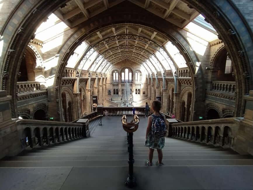 Natural Museum: Diplodocus, Volcanoes, Whale, and Gems - Exploring the Natural History Museum in Nantes: A Deep Dive