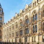 Natural Museum Secrets: Diplodocus, Blue Whale, Evolution - A Detailed Look at the Natural Museum Secrets Tour