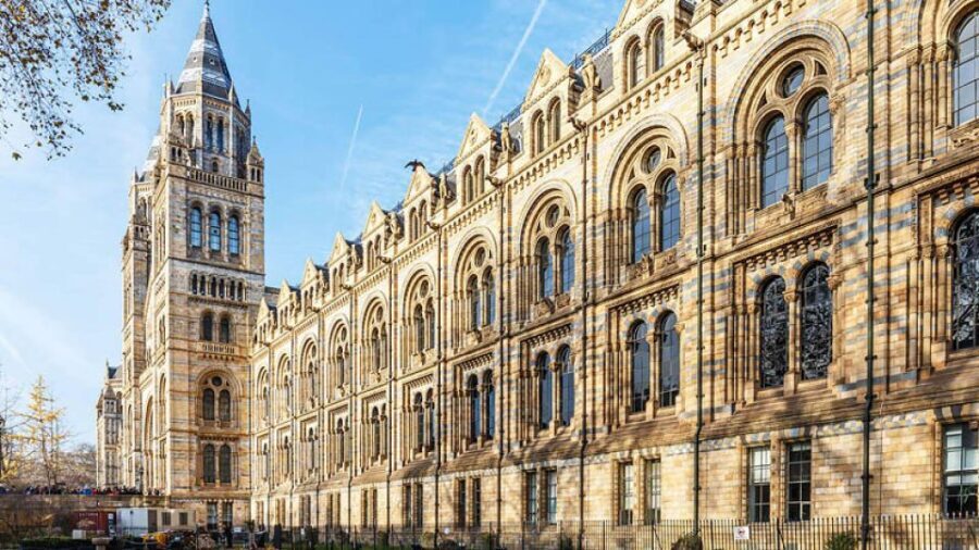 Natural Museum Secrets: Diplodocus, Blue Whale, Evolution - A Detailed Look at the Natural Museum Secrets Tour