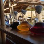 Natural Wine Tour to Kartli region, lunch & wine tasting at Andro Barnovi - A Final Word: Who Will Love This Tour?