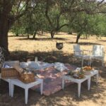 Nature and History: Agrigento and Scala dei Turchi - Key Points
