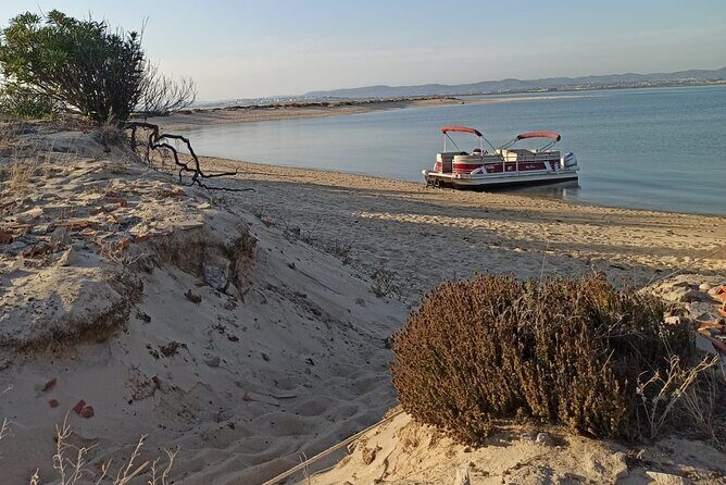 Nature Catamaran Tour from Faro - Why the Value Is Worth Considering