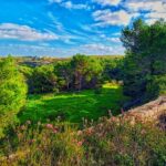 Nature Highlights Private Walking Tour with Transport - Exploring Malta’s Hidden Natural Gems