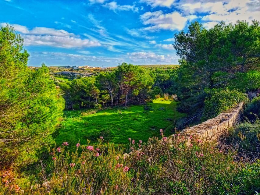 Nature Highlights Private Walking Tour with Transport - Exploring Malta’s Hidden Natural Gems