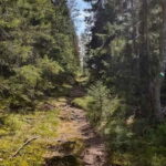 Nature Hike from Stockholm - Who Is This Tour For?
