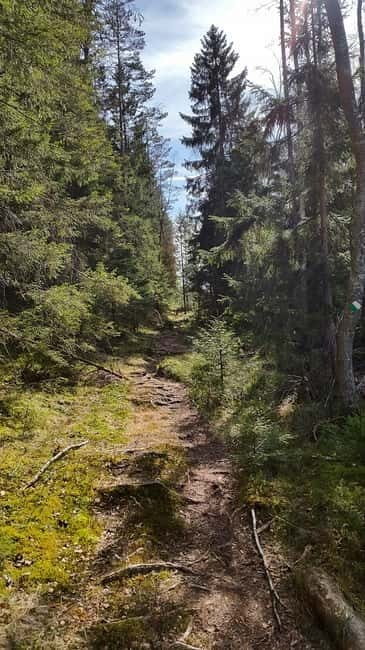 Nature Hike from Stockholm - Who Is This Tour For?