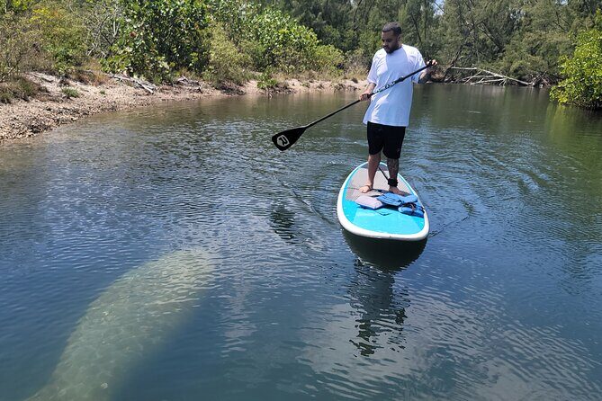 Nature Stand Up Paddle Boarding Experience in Miami - Practical Details and Value
