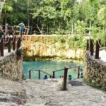 Nature Tour - Why This Tour Is a Good Choice