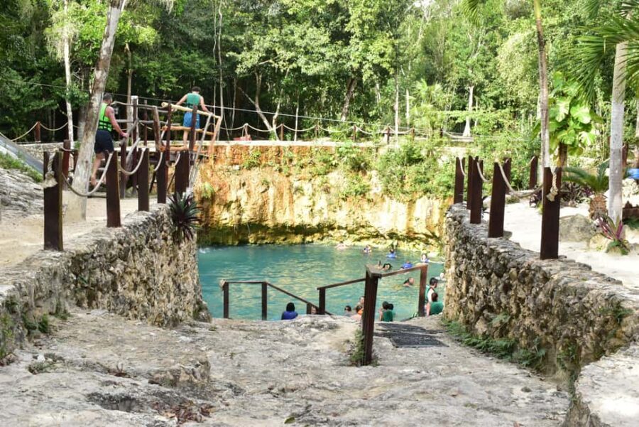 Nature Tour - Why This Tour Is a Good Choice