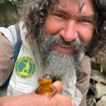 Nature Walk/Hike Tour near Disneyland: ID plants & wildlife - A Detailed Look at the Itinerary