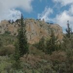 Nature Walking tour in the Mediterranean Cyprus-6days - Who Is This Tour Best For?
