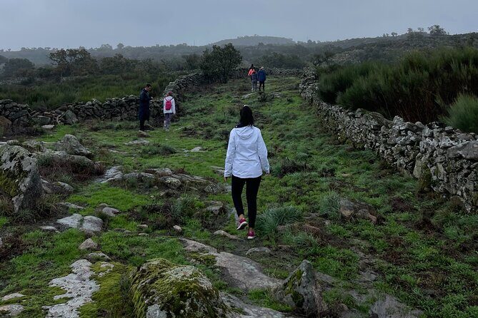 Nature walks in Marvão - A Deep Dive into the Marvão Nature Walk Experience