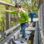 Naturerbe Zentrum Rügen & Treetop Walk Experience - Practical Details and Tips
