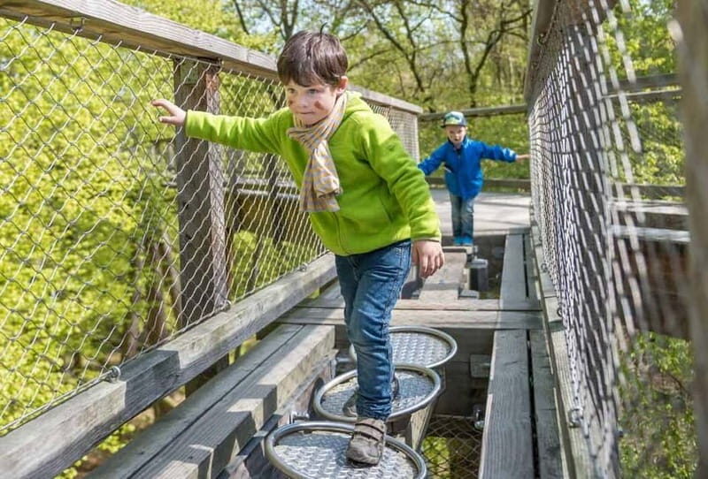 Naturerbe Zentrum Rügen & Treetop Walk Experience - Practical Details and Tips