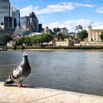 Naughty London: Unsavoury History Walking Tour - A Closer Look at the Naughty London Experience