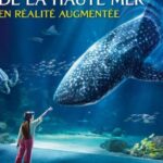 Nausicaá National Sea Center: Full-Day Entry Ticket - Who Will Love Nausicaá?