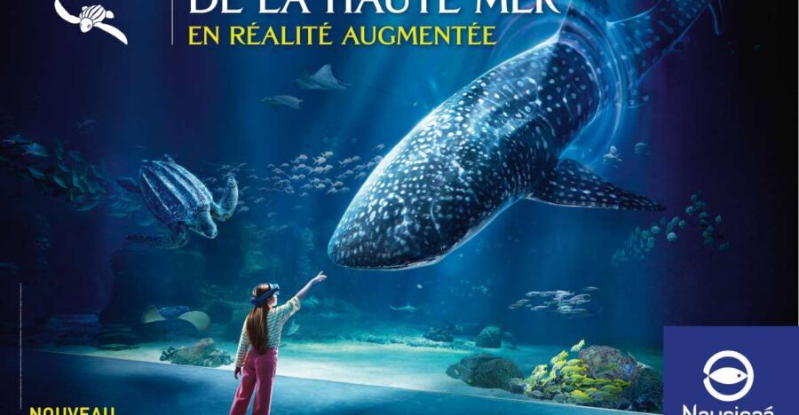 Nausicaá National Sea Center: Full-Day Entry Ticket - Who Will Love Nausicaá?