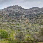 Naxos: Countryside hike among villages & Byzantine churches - Practical Details & What It Means for You