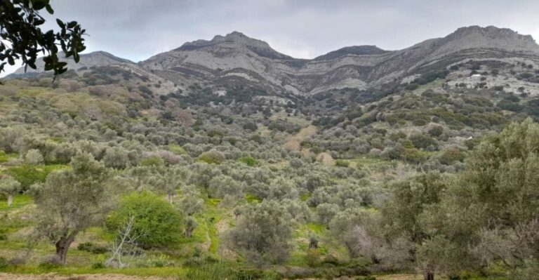 Naxos: Countryside hike among villages & Byzantine churches - Practical Details & What It Means for You