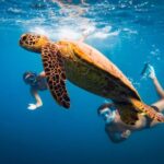 Naxos: Discover Scuba Diving on Agios Georgios Beach - What the Tour Entails