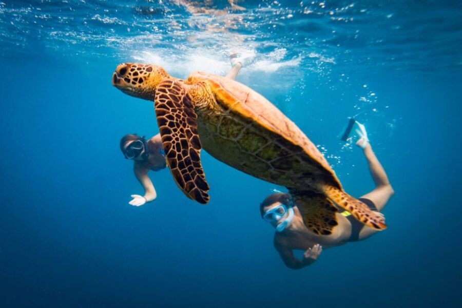 Naxos: Discover Scuba Diving on Agios Georgios Beach - What the Tour Entails